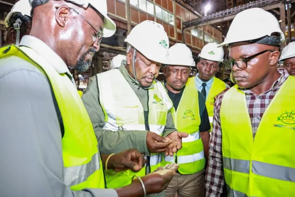 Sugar sector