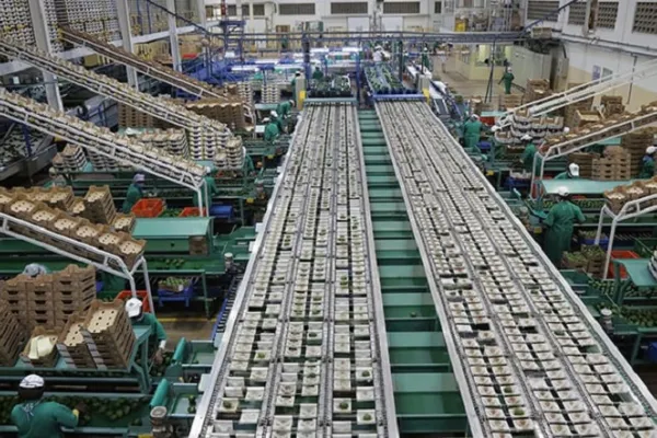 Kakuzi PLC
