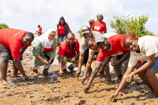 Absa Mangroves