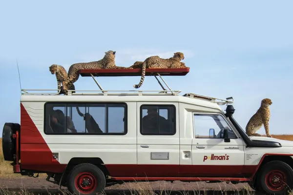 Pollman Kenya