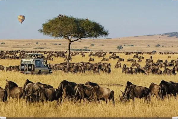Masai Mara