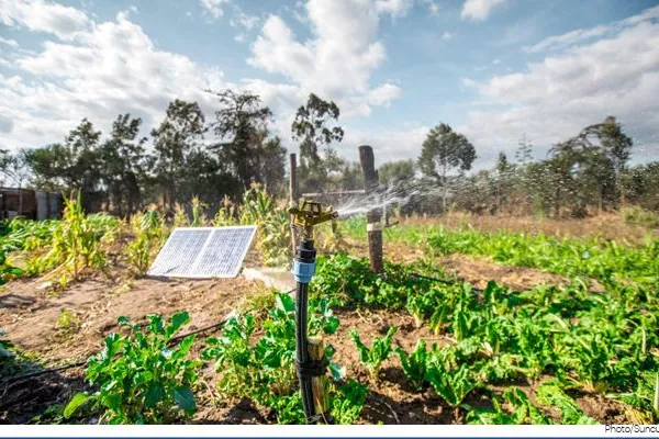 FSD Kenya Agriculture