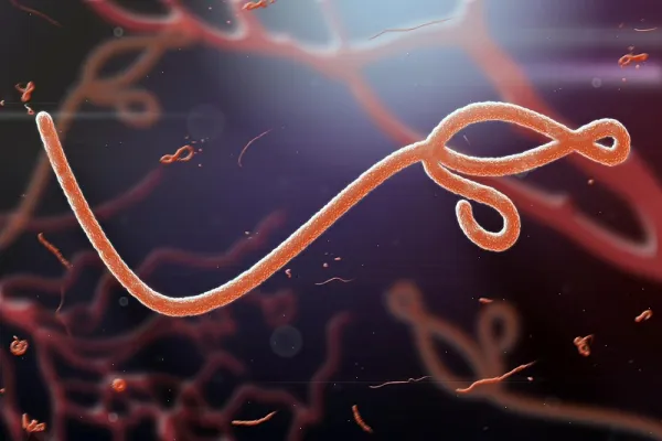 Ebola outbreak in Kenya