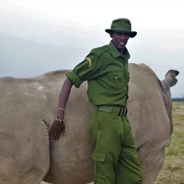 Sudan the last male Northern White Rhino