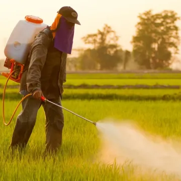 Toxic pesticides