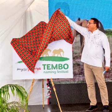Tembo names