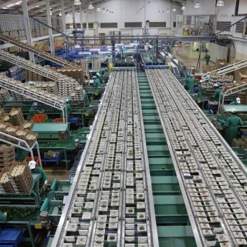 KAKUZI PLC AVOCADO PACKHOUSE