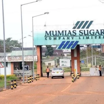 Mumias Sugar