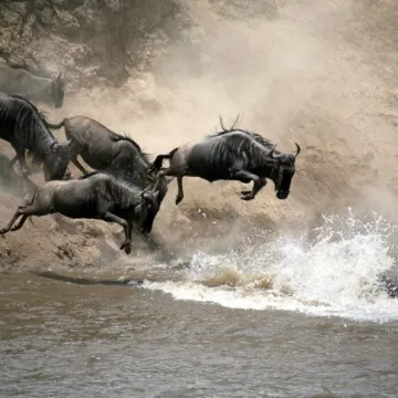 Tourism KE