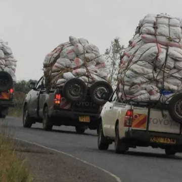 Miraa JKIA