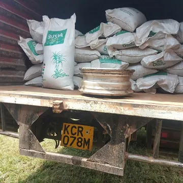Sugar SmugglingKE3