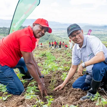 Tree Planting 2