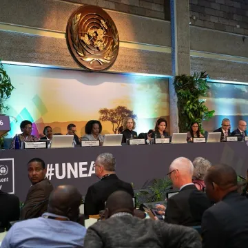 UNEA6