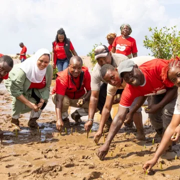 Absa Mangroves