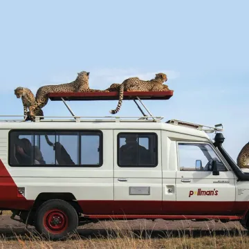 Pollman Kenya