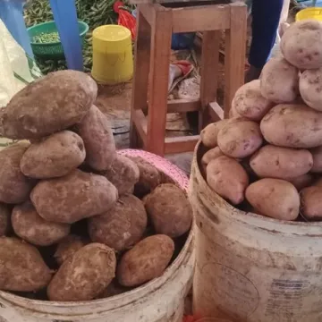 Potatoes