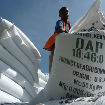 Fertiliser subsidy