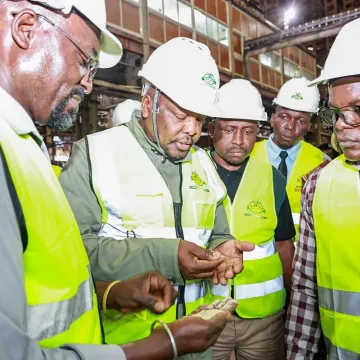 Sugar sector