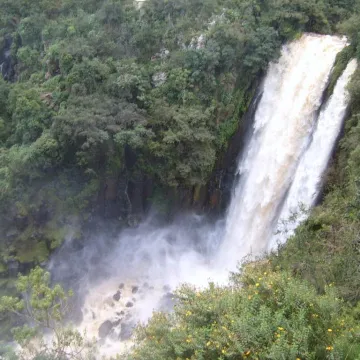 Thompson Falls