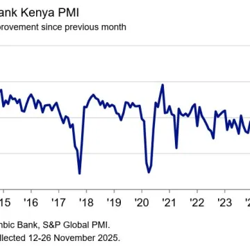 PMI November 2025