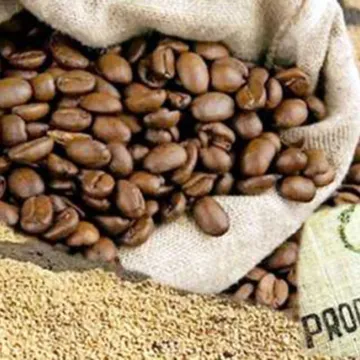 Kenya Coffee Exports