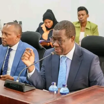Opiyo Wandayi Energy CS