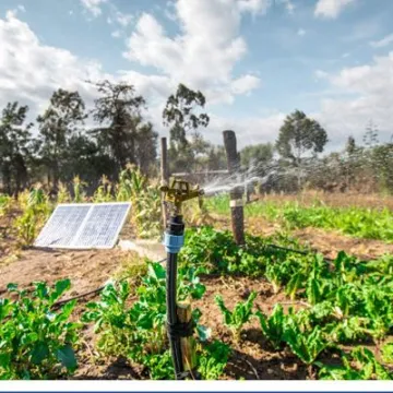FSD Kenya Agriculture