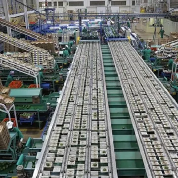 Kakuzi PLC