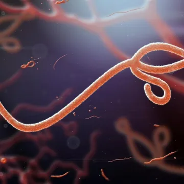 Ebola outbreak in Kenya