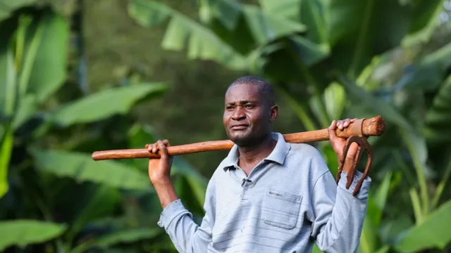 Digifarm in Meru Digifarm in Meru