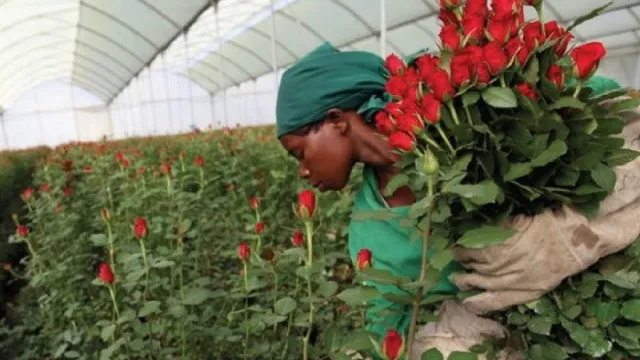 Kenyan Private Sector - Copy Kenyan Private Sector - Copy