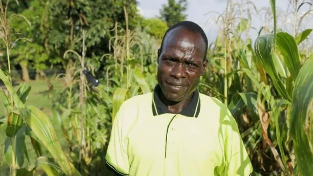 Armyworm Armyworm