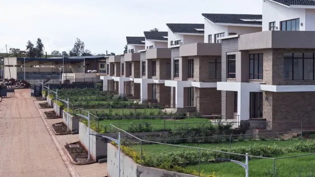 Real Estate 1