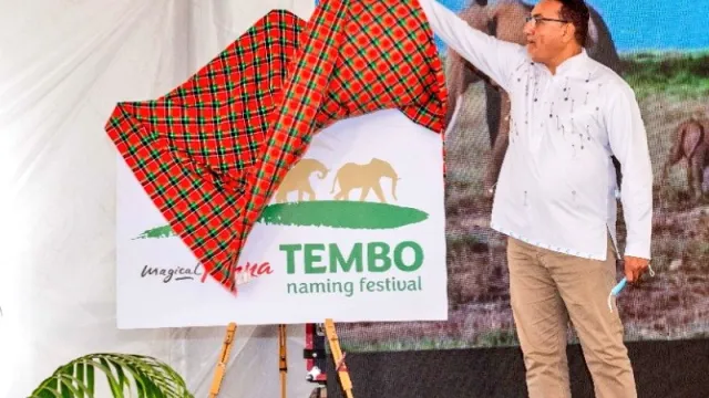 Tembo names