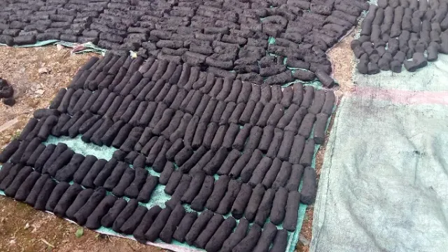 Briquettes