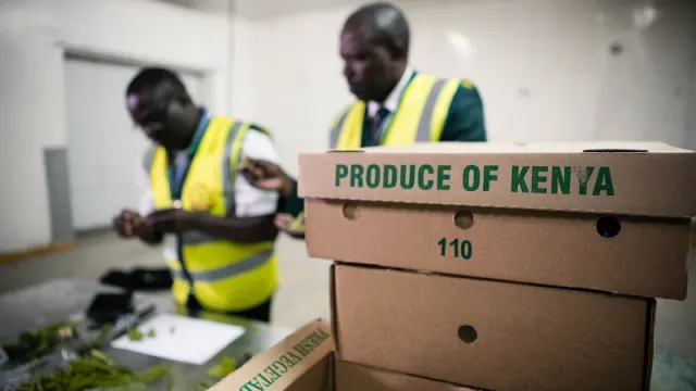 Exports KE Exports KE