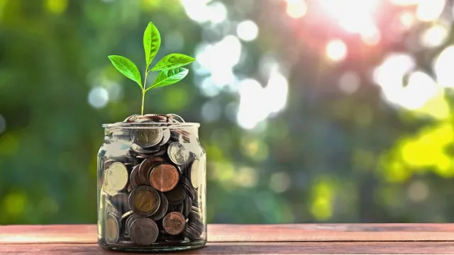 concept money and small tree in jar and sunshine