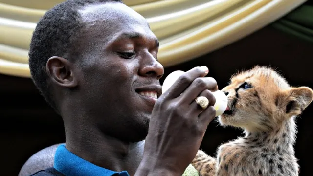 Usain-Bolt Usain-Bolt