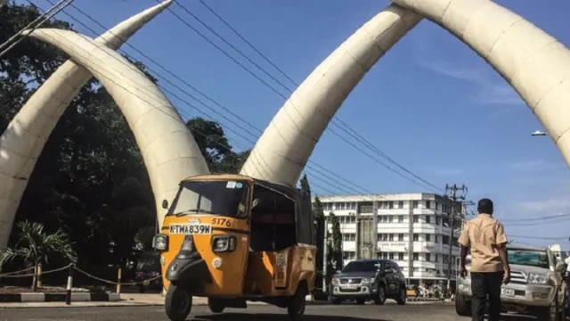 Tuk Tuks MSA