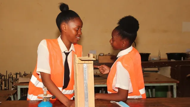 Young Scientist Young Scientist