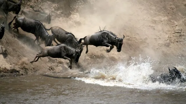 Tourism KE Tourism KE