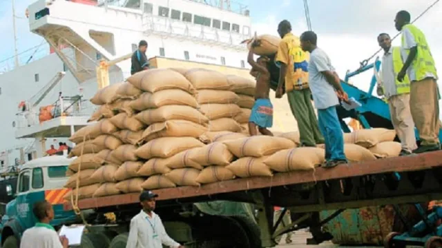 Maize import Maize import