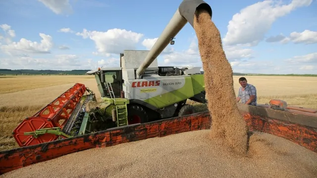 Grains Grains