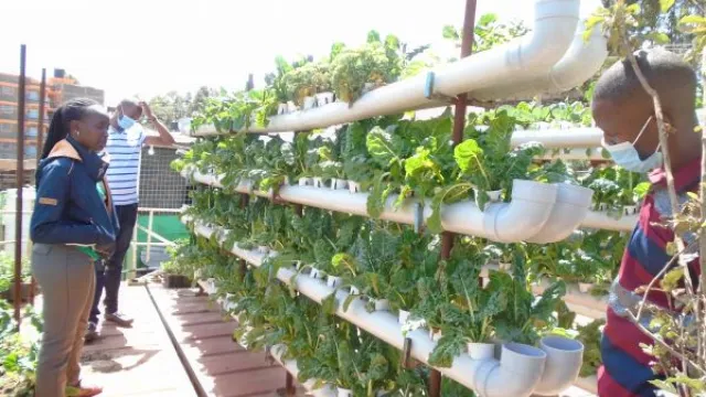 Hydroponics