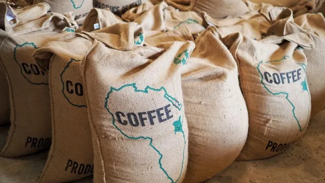 Kenya-Coffee