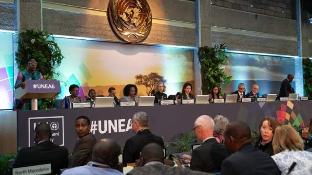 UNEA6