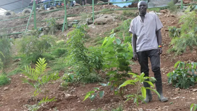 Paul-Otienos-Eden.-A-section-of-Mathare-River-where-Mathare-Slum-Community-Association-or-MASCA-has-planted-fruit-trees.-PHOTO-BY-OTIATO-OPALI-scaled-1