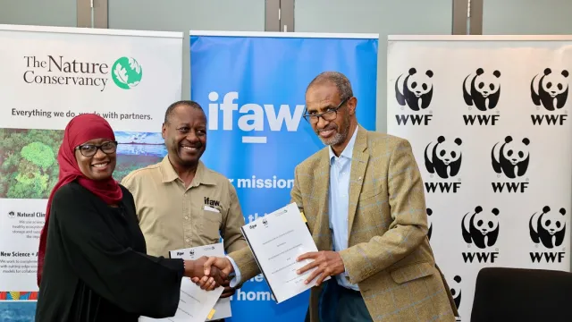 WWF-Kenya