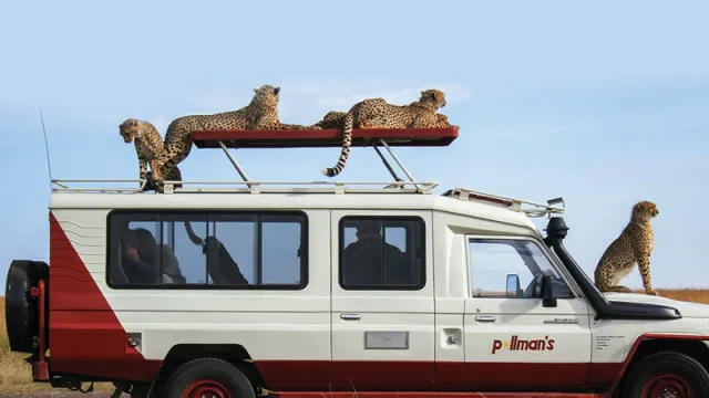 Pollman Kenya