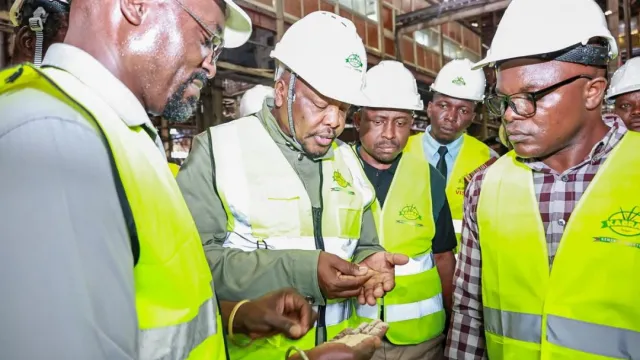 Sugar sector